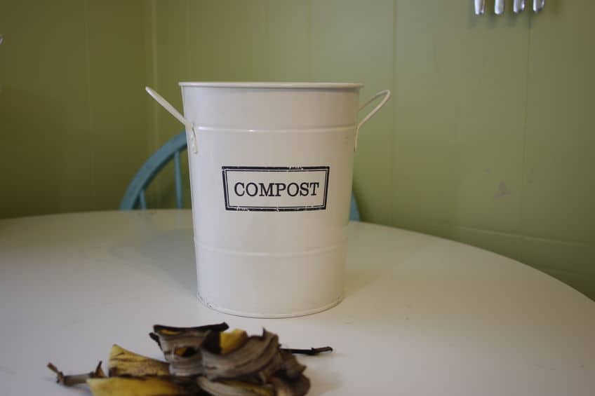 Apartment Composting without Worms: Can it be done!