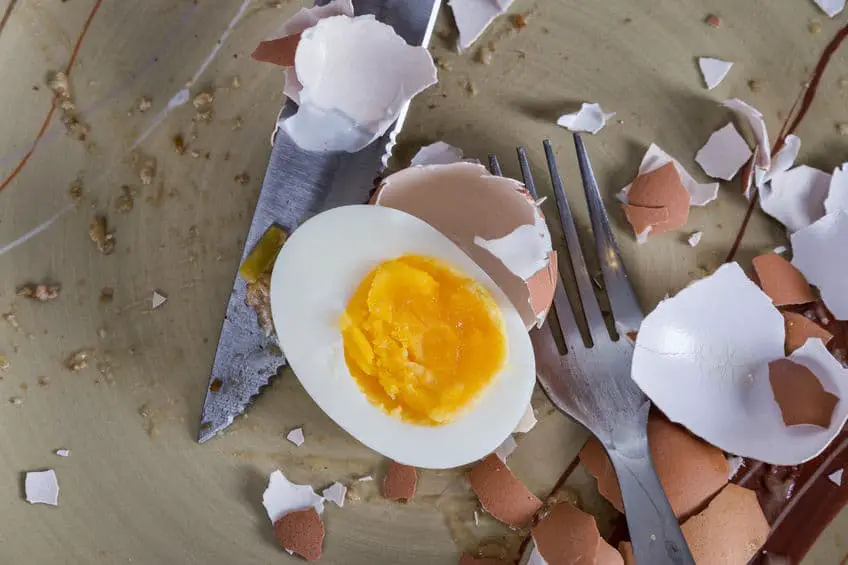 Can You Have Too Many Egg Shells In Your Compost?