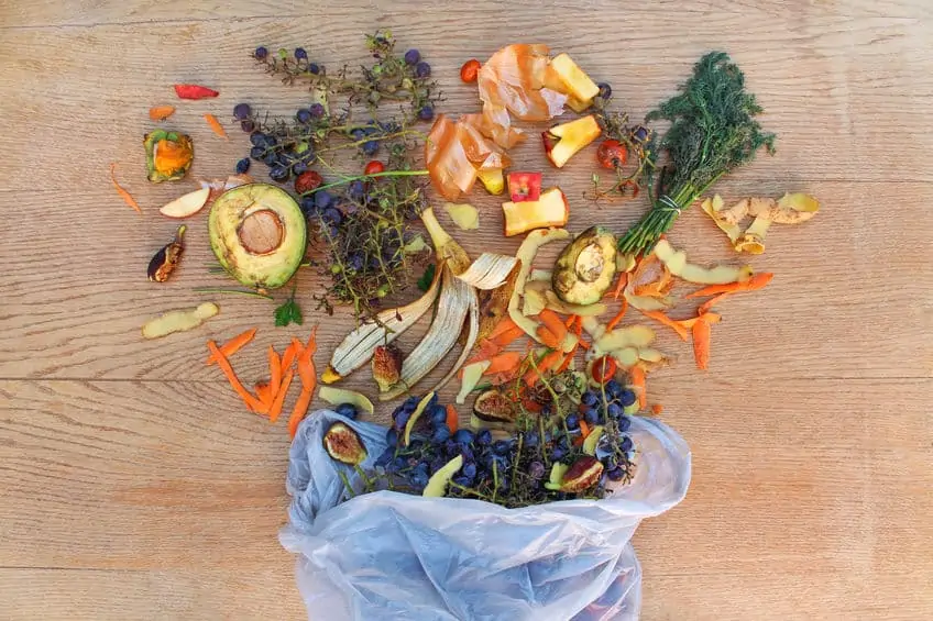 Guide to Kitchen Composting - Fraiche Living