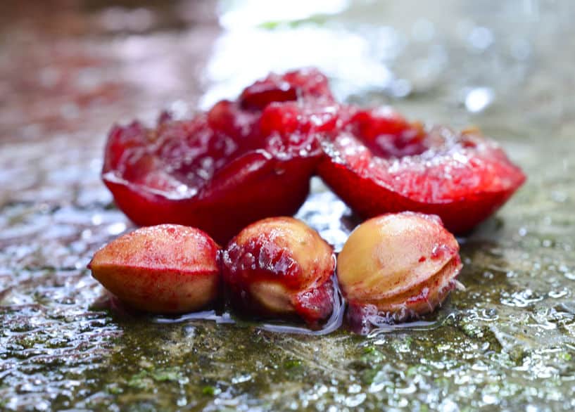 cherry pits sitting on a wet table