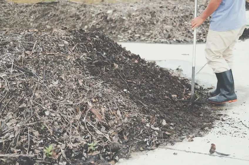 person raking large compost heap