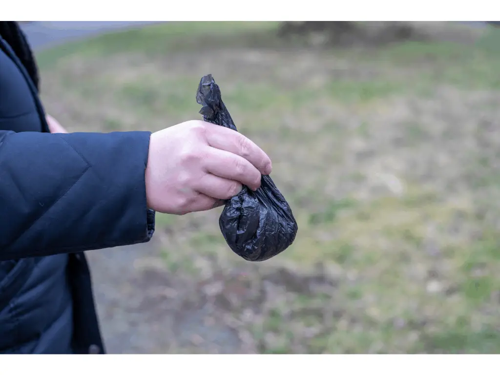 person holding small black plastic bag with feces inside