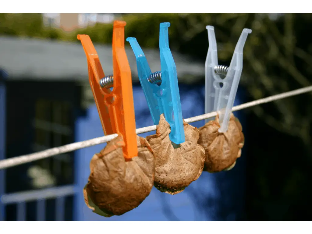 tea bags pegged up on a washing line