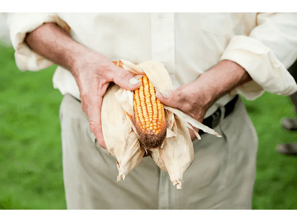 man holding a corn cob in his hands