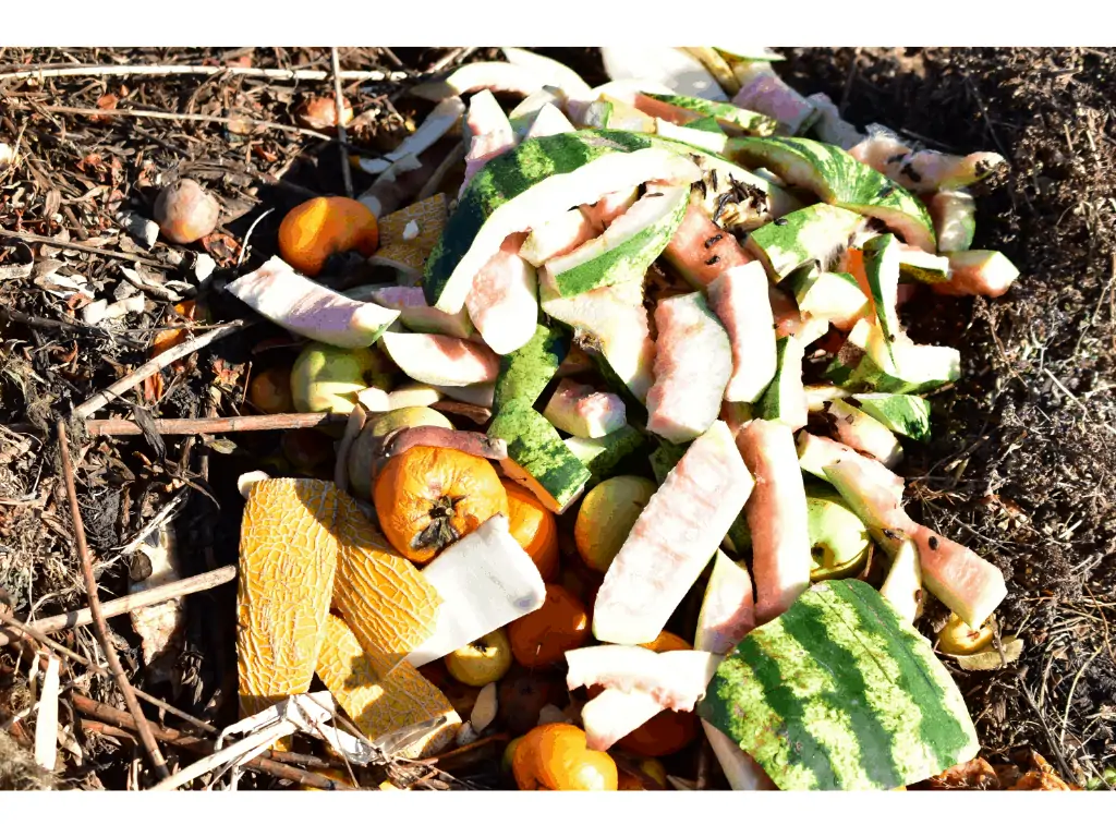 The Compost Chopper  Compost, Watermelon rind, Corn on cob