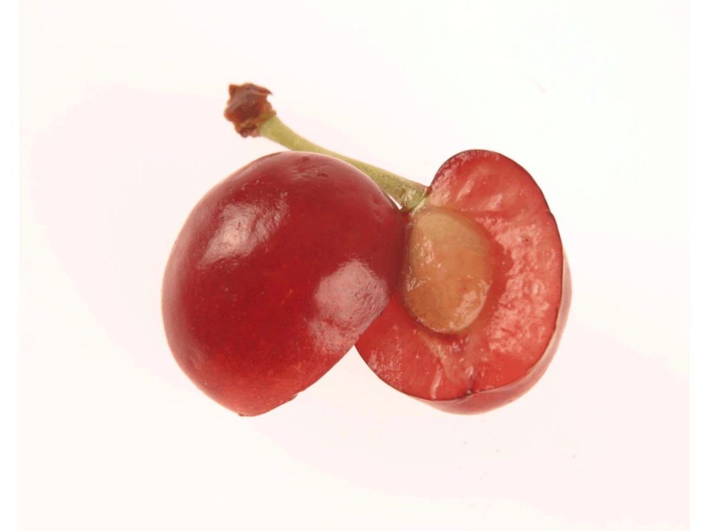 cherry cut in half on a white background with pits visible