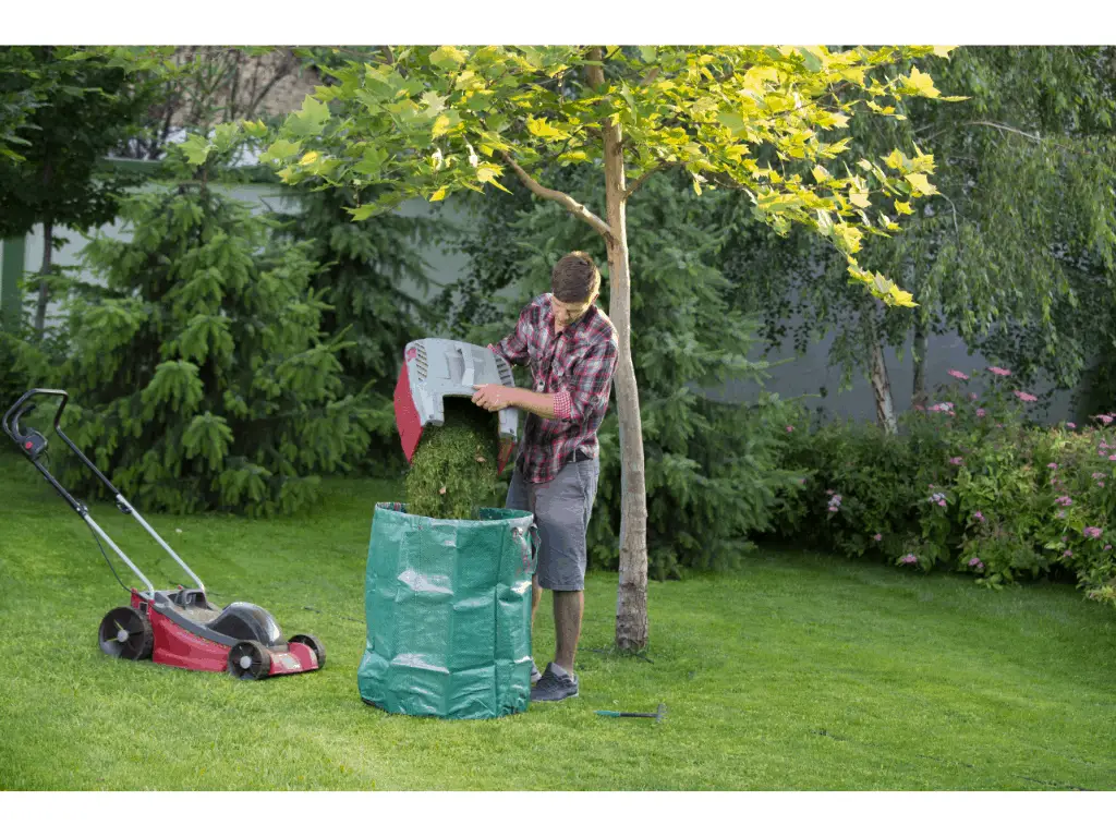 person emptying grass clippings into green plastic bin