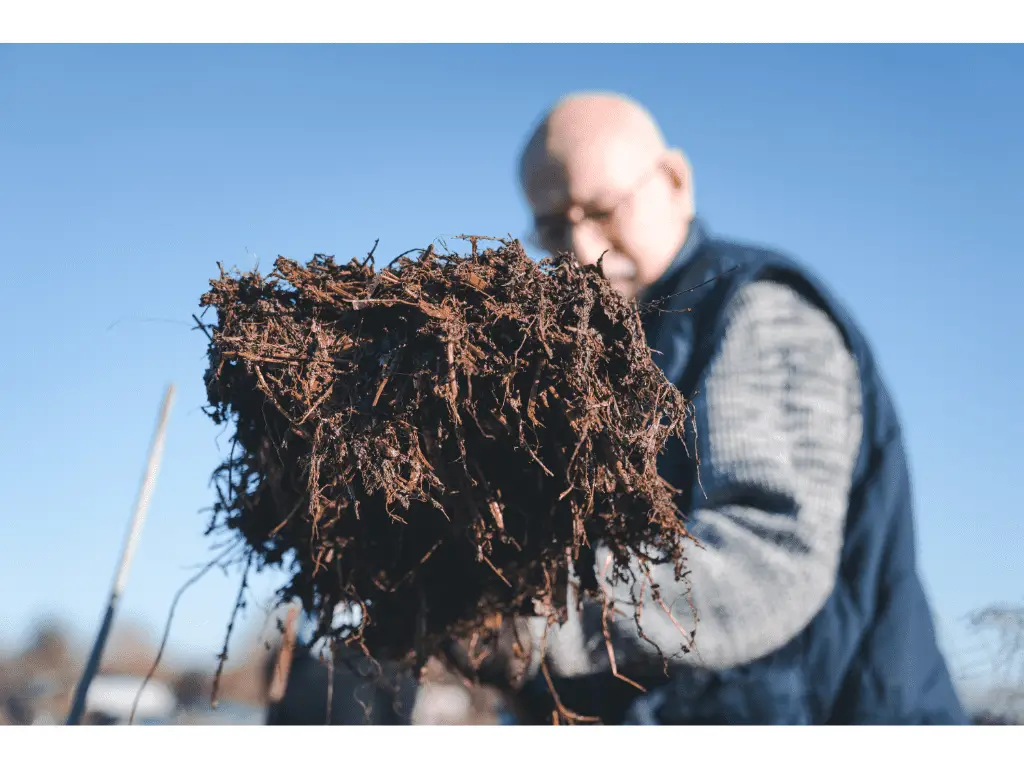 man holding finished compost on a garden folk