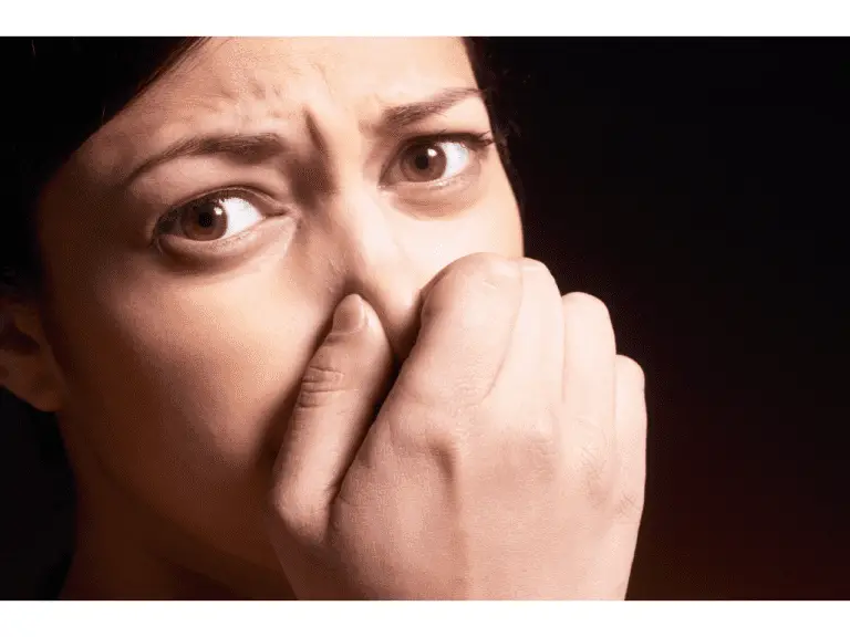 Are Compost Fumes Toxic To Plants? ( Expert Details Revealed) Composthq