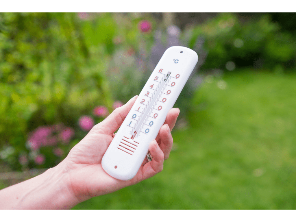 person holding up a thermometer