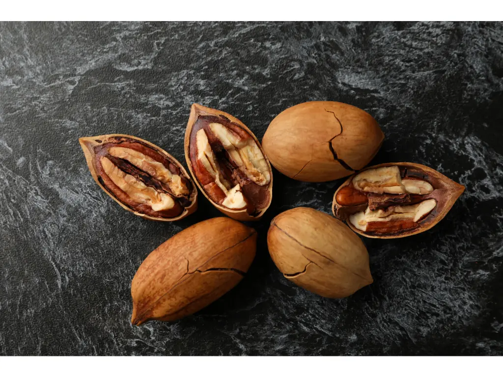 Can You Compost Pecan Shells? A Clear and Knowledgeable Answer