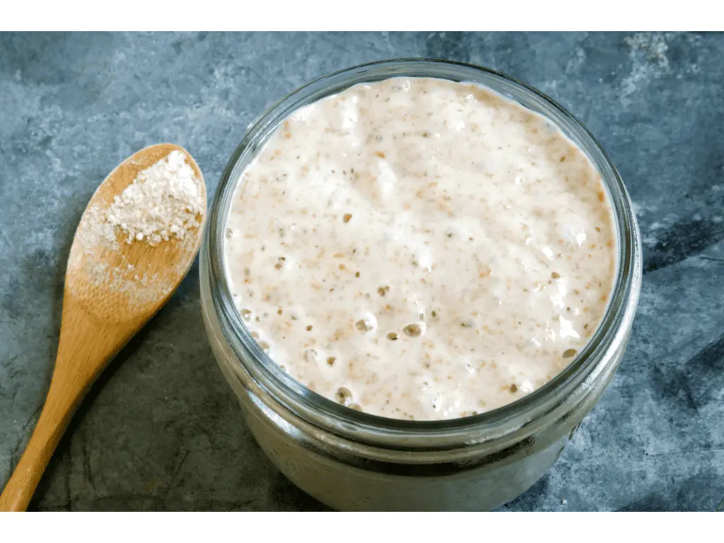 Sourdough Starter into Compost? Exploring the Benefits and Risks