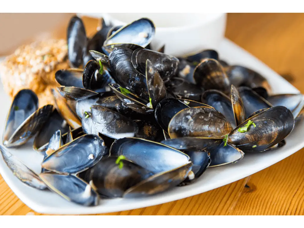 Can You Compost Mussel Shells? A Comprehensive Guide