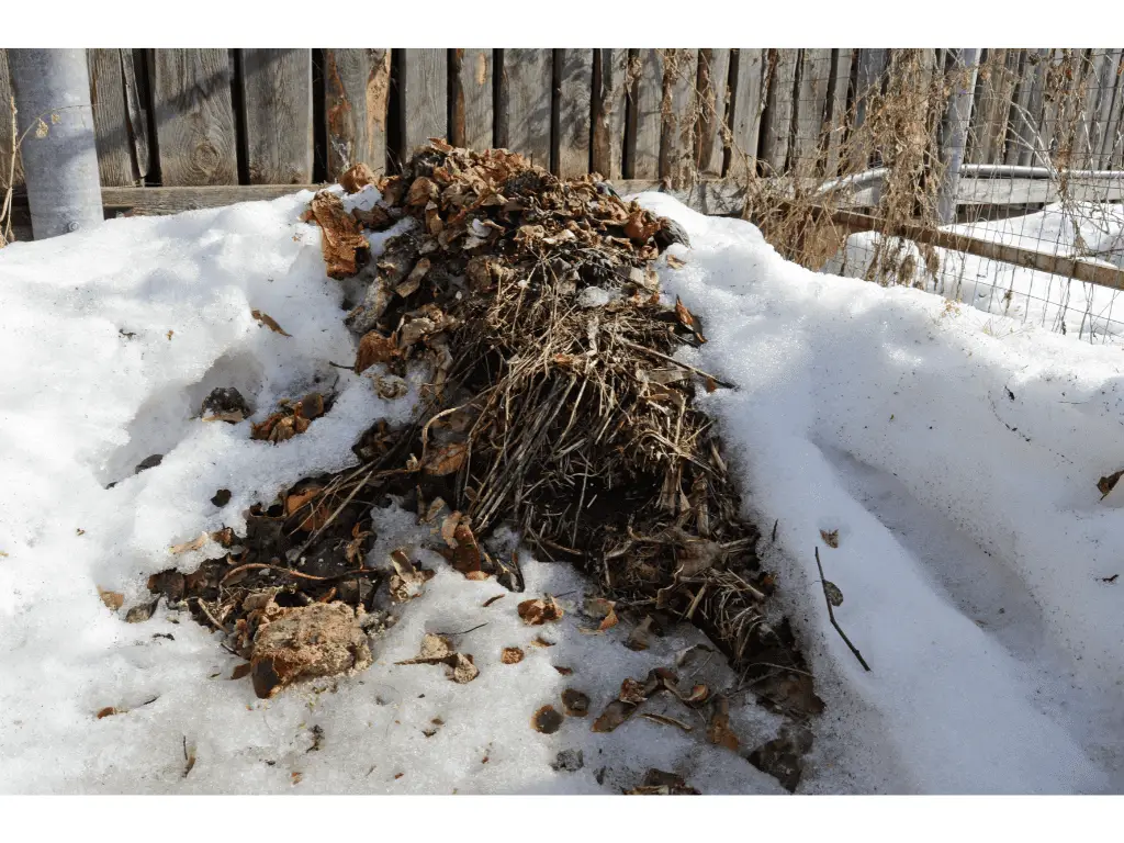Winter Guide for Composting: Simple Steps for Success