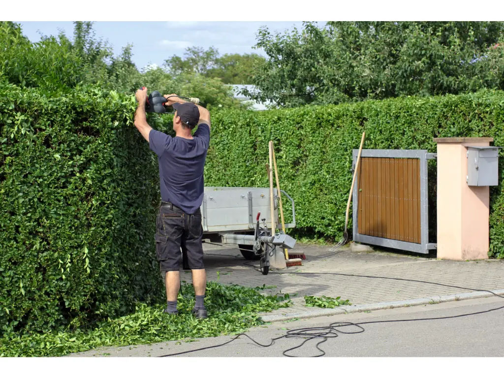 Can You Compost Hedge Clippings? A Quick Guide
