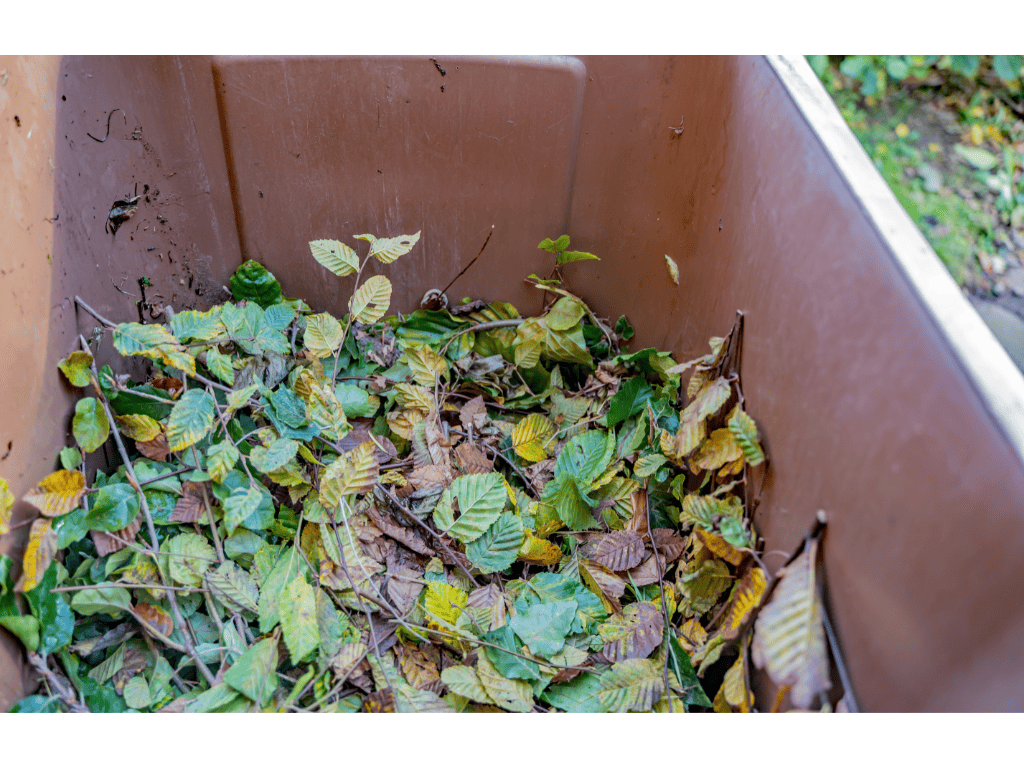 Can You Compost Hedge Clippings? A Quick Guide Composthq