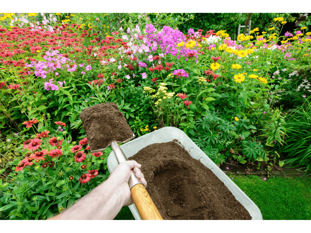 Will Compost Kill Grass? The Truth About Using Compost as a Lawn Fertilizer