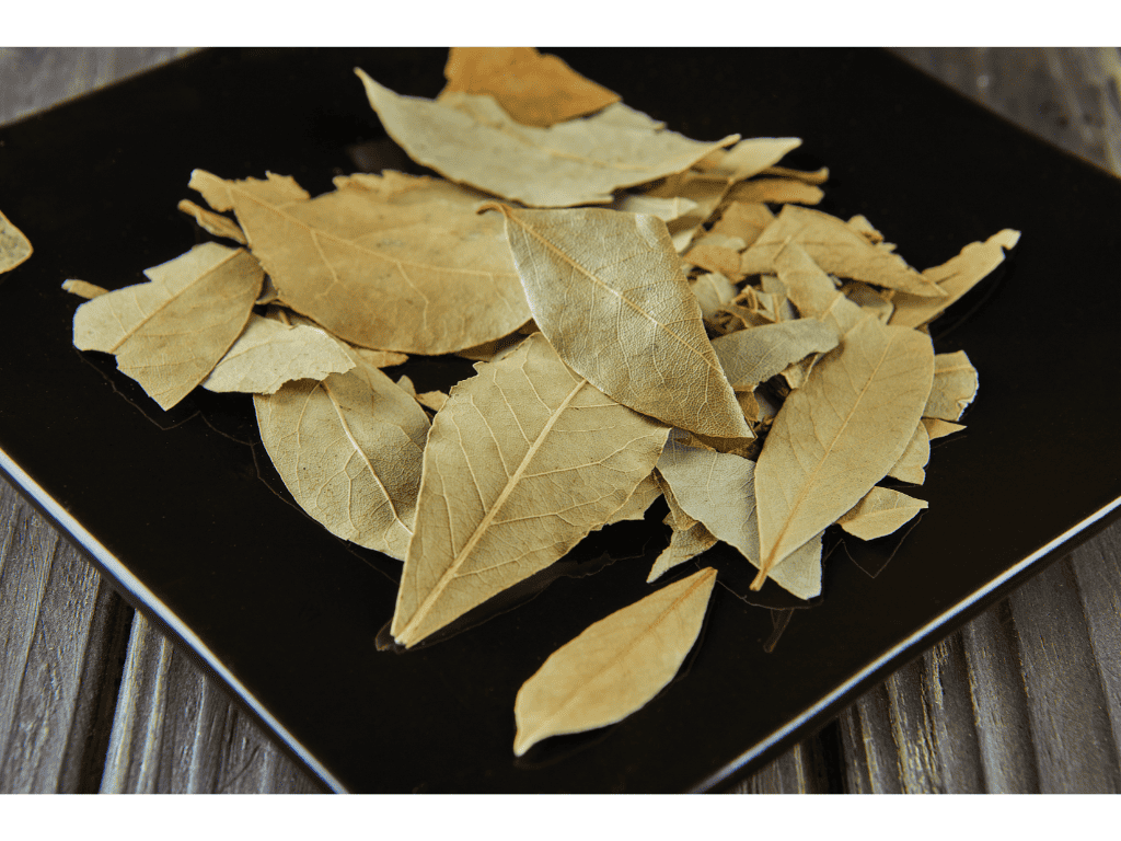 Composting Bay Leaves: A Clear Guide to Effective Recycling